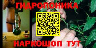 винт Кингисепп