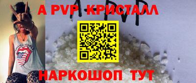 крисы Кинель