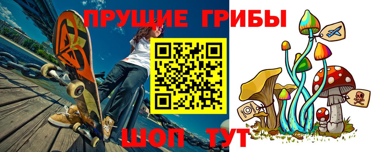 Псилоцибиновые грибы Psilocybe Кохма