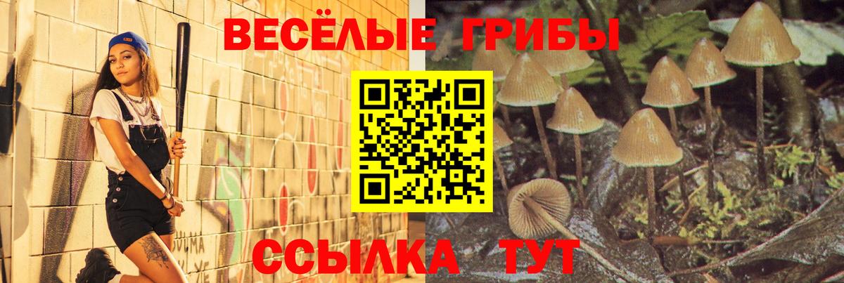 Кохма  Галлюциногенные грибы мицелий  Вход с VPN 